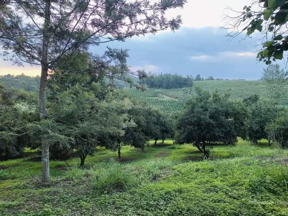 0.125 ac Residential Land at Juja Gatundu Road - 8
