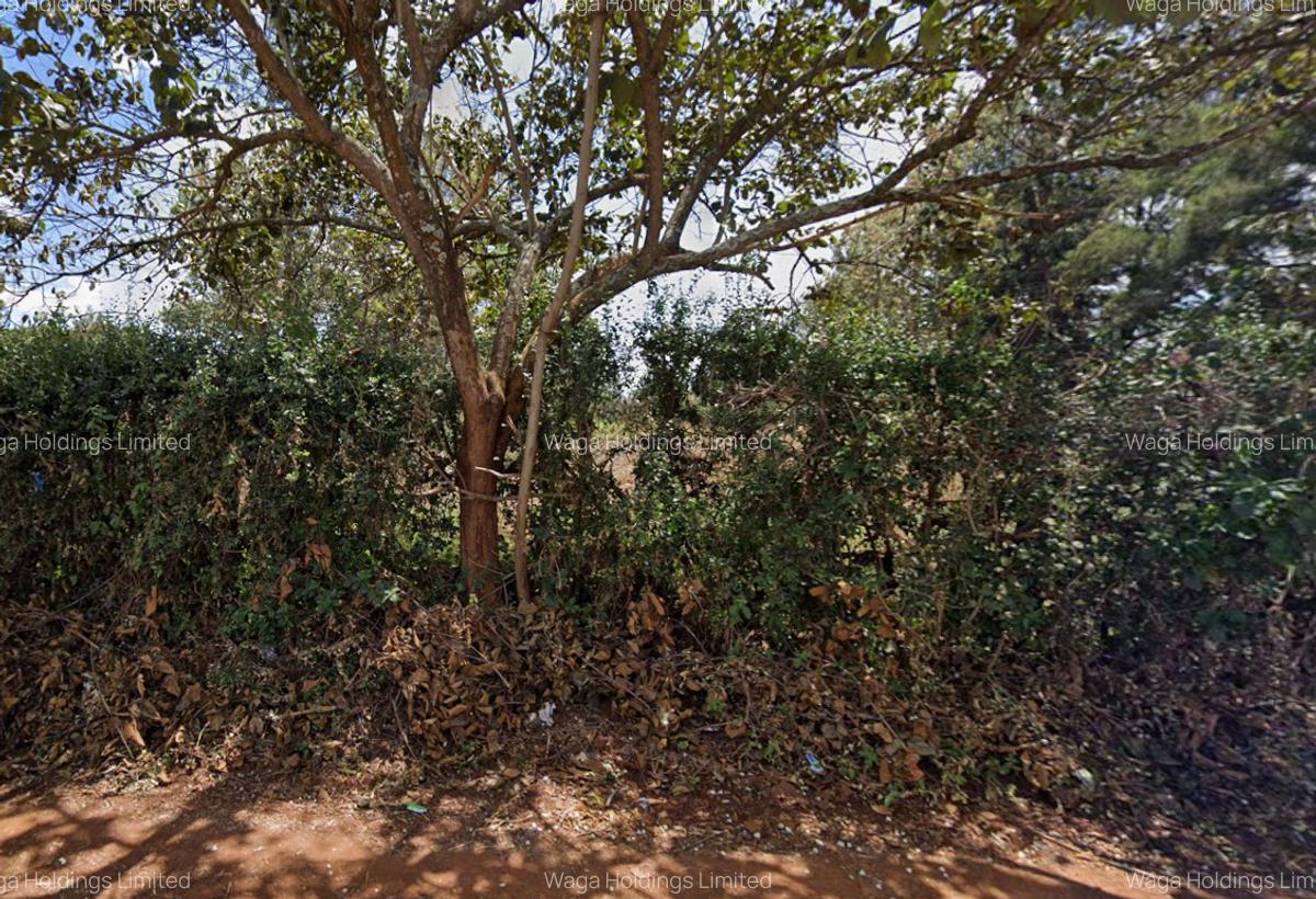 1 ac Land in Nyeri - 2