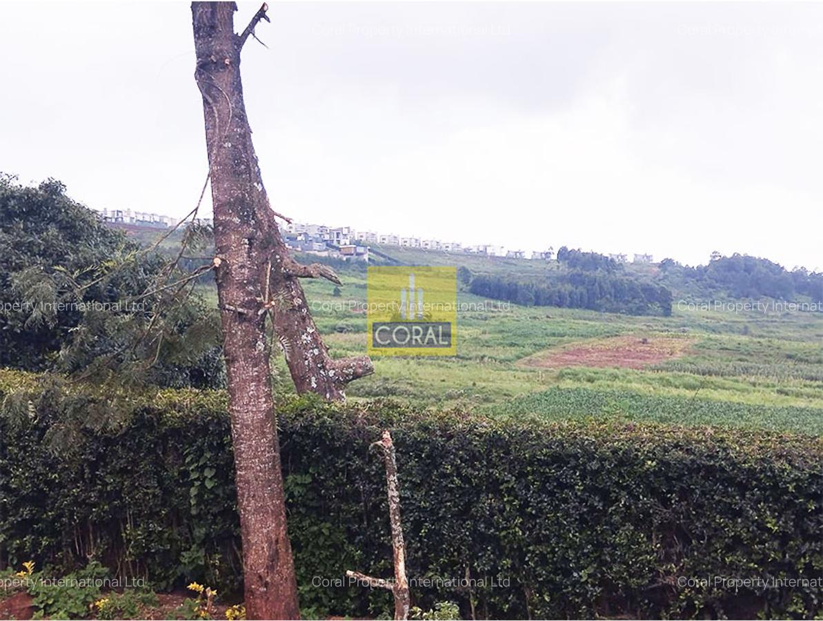 Land in Tigoni - 1