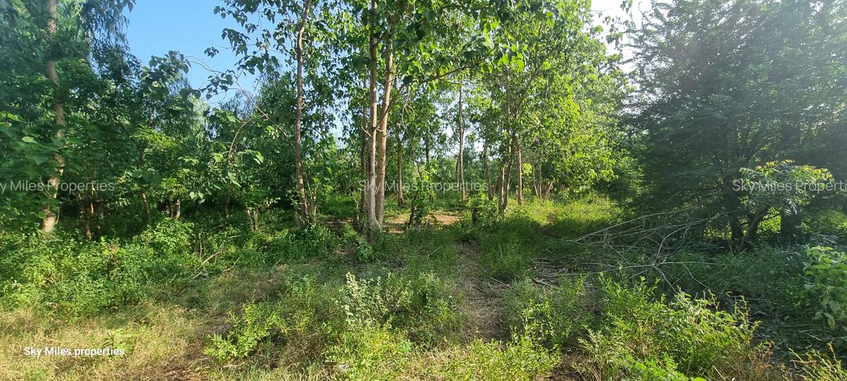 1 ac Land at Kijipwa - 15