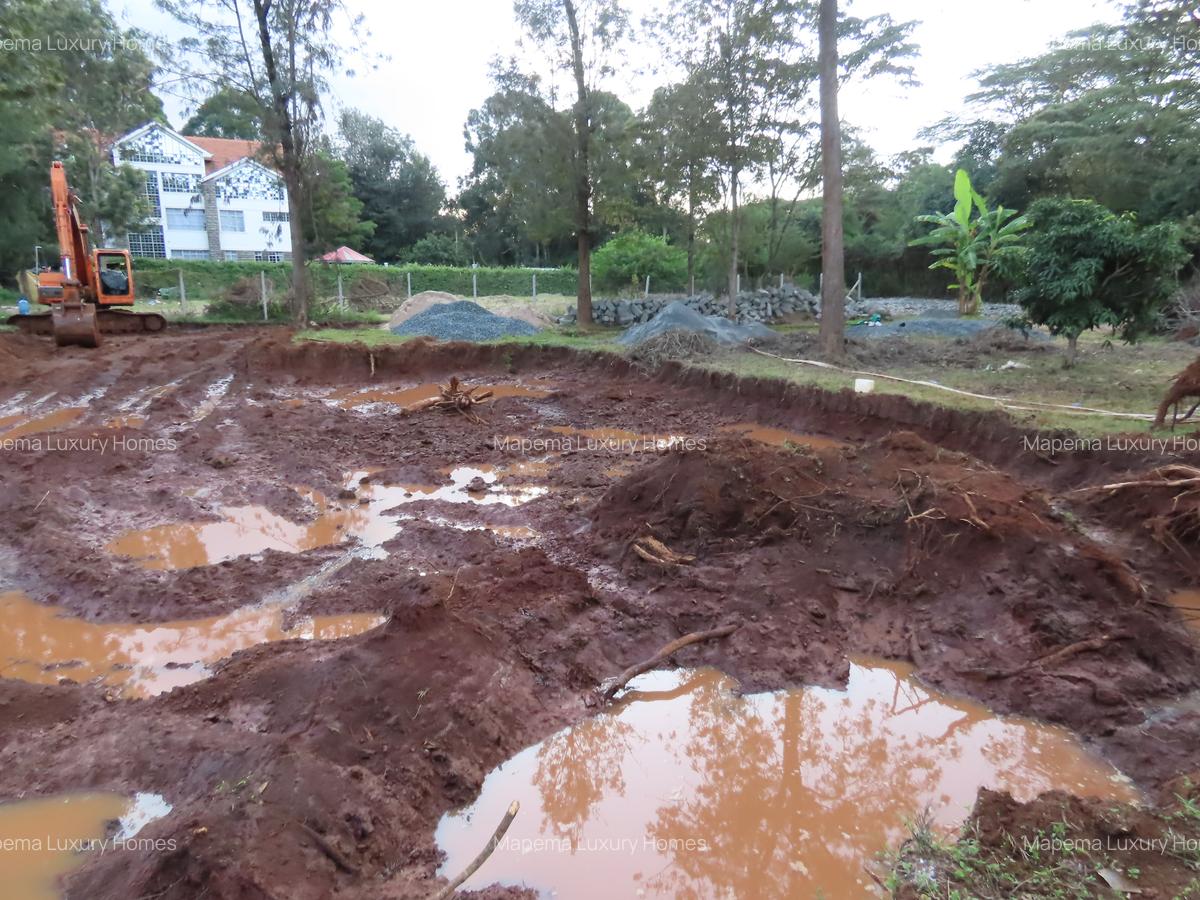 Residential Land at Mukinduri Road - 11