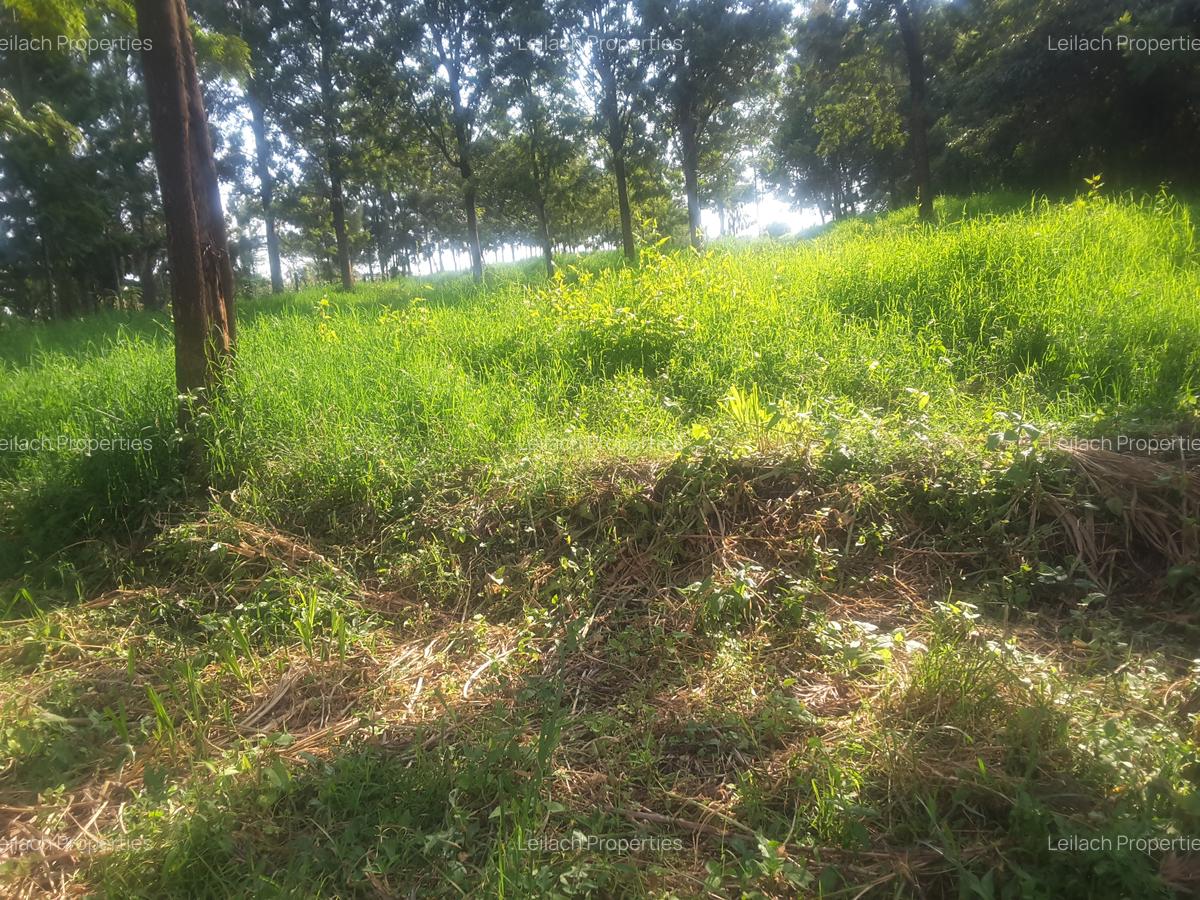 1.2 ac Land in Ngong - 11