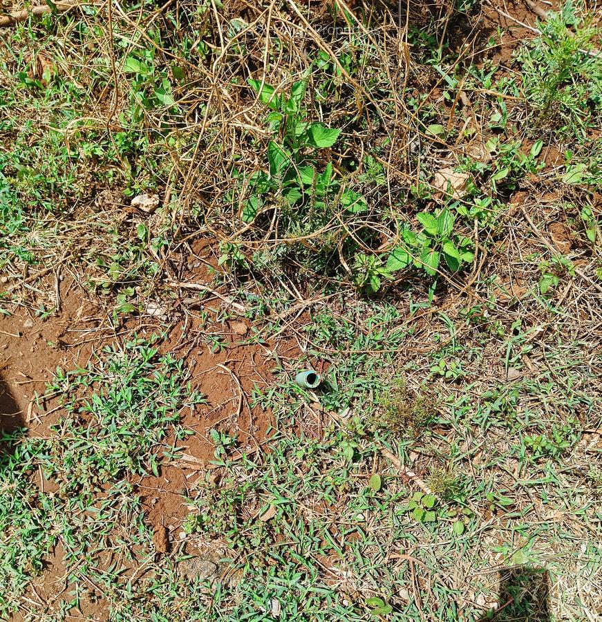 500 m² Residential Land at Nairobi Ndogo Estate - 3