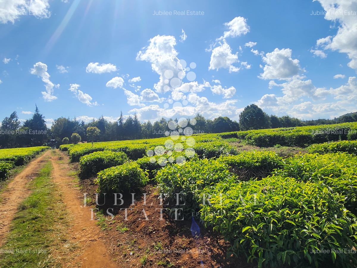 12 ac Land in Tigoni - 5