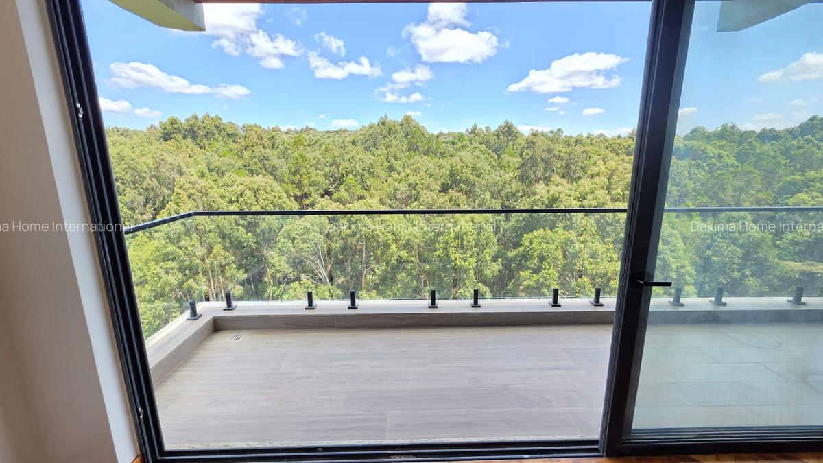 4 Bed Apartment with En Suite in Spring Valley - 9