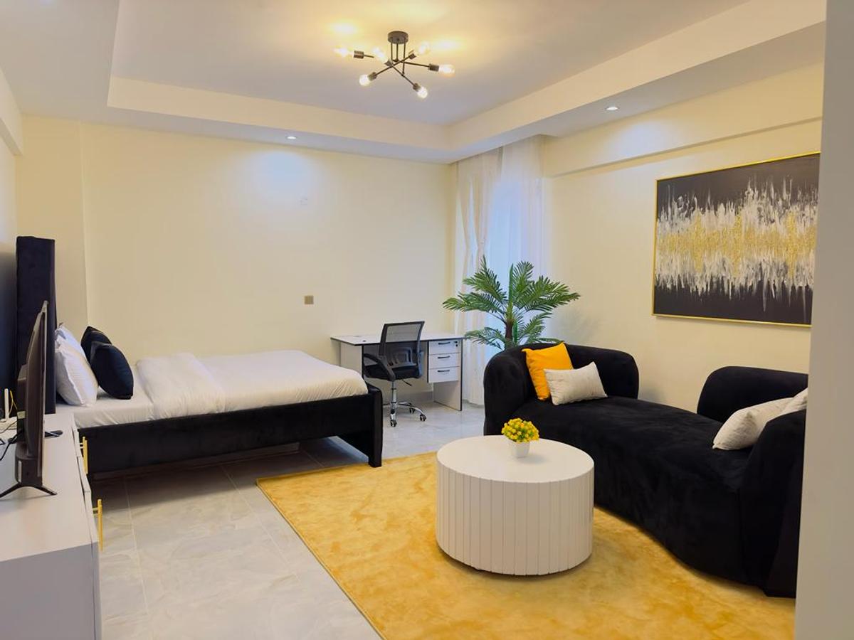 Serviced Studio Apartment with En Suite at Kangundo Rd - 9