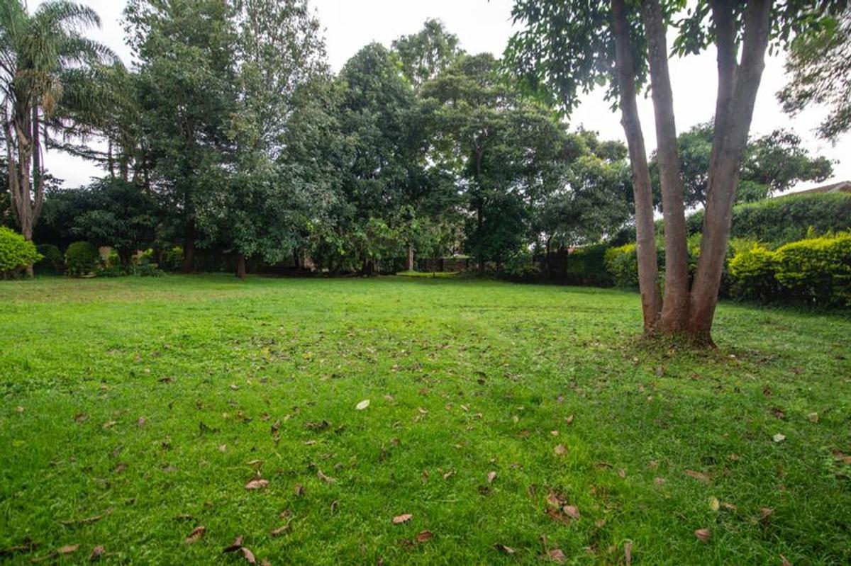 1.25 ac Land in Lavington - 4