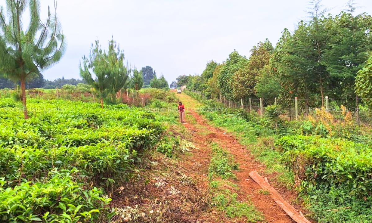 20 ac Residential Land at Riara Ridge - 2