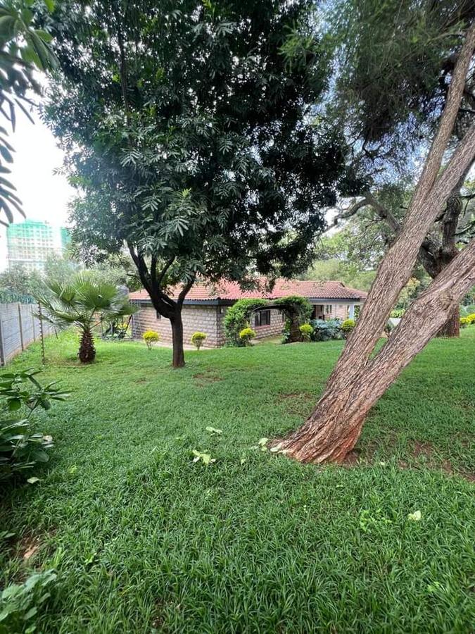 0.6 ac Land at Mugumo - 19