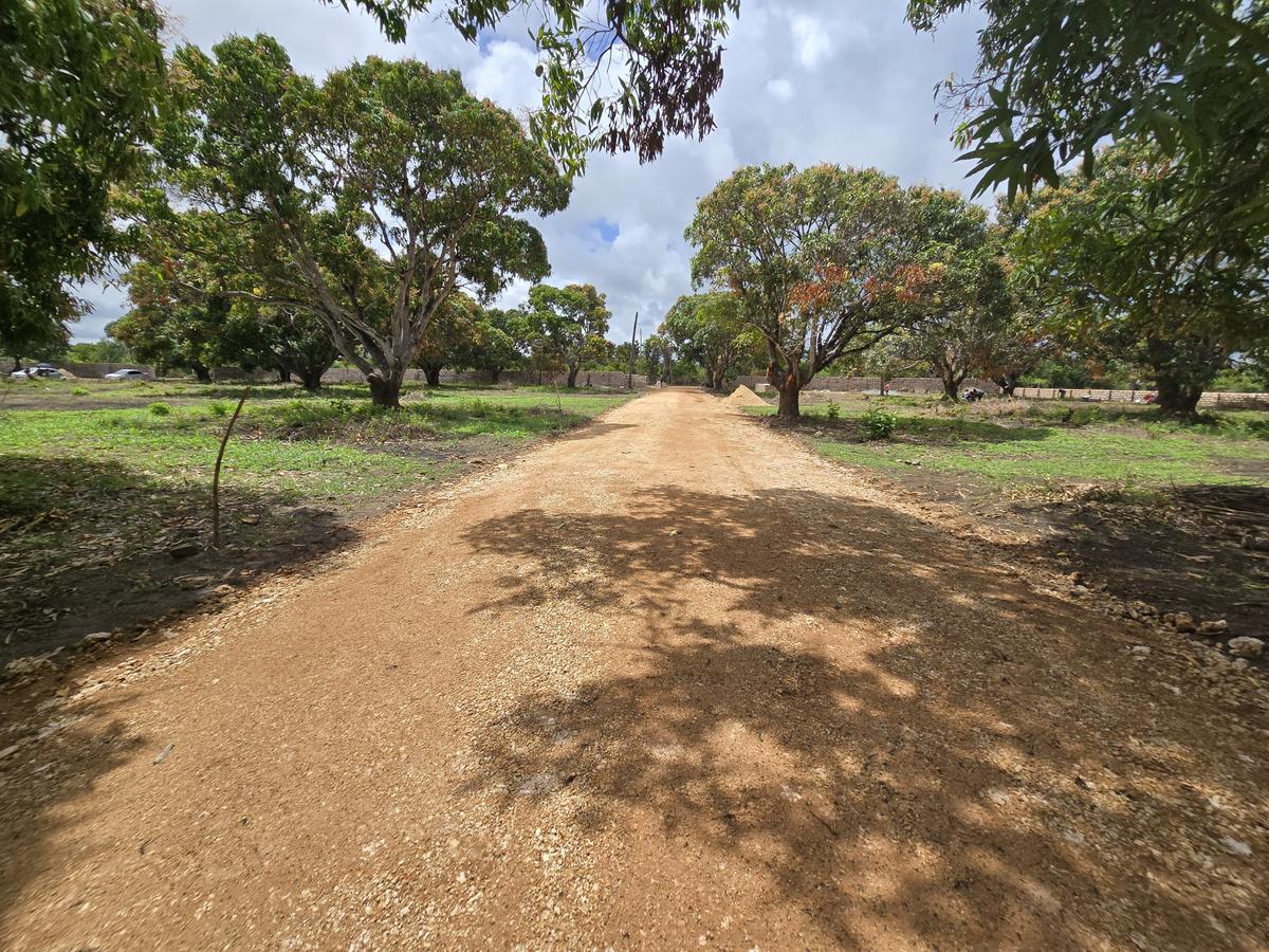 Land at Mombasa Malindi Highway - 5