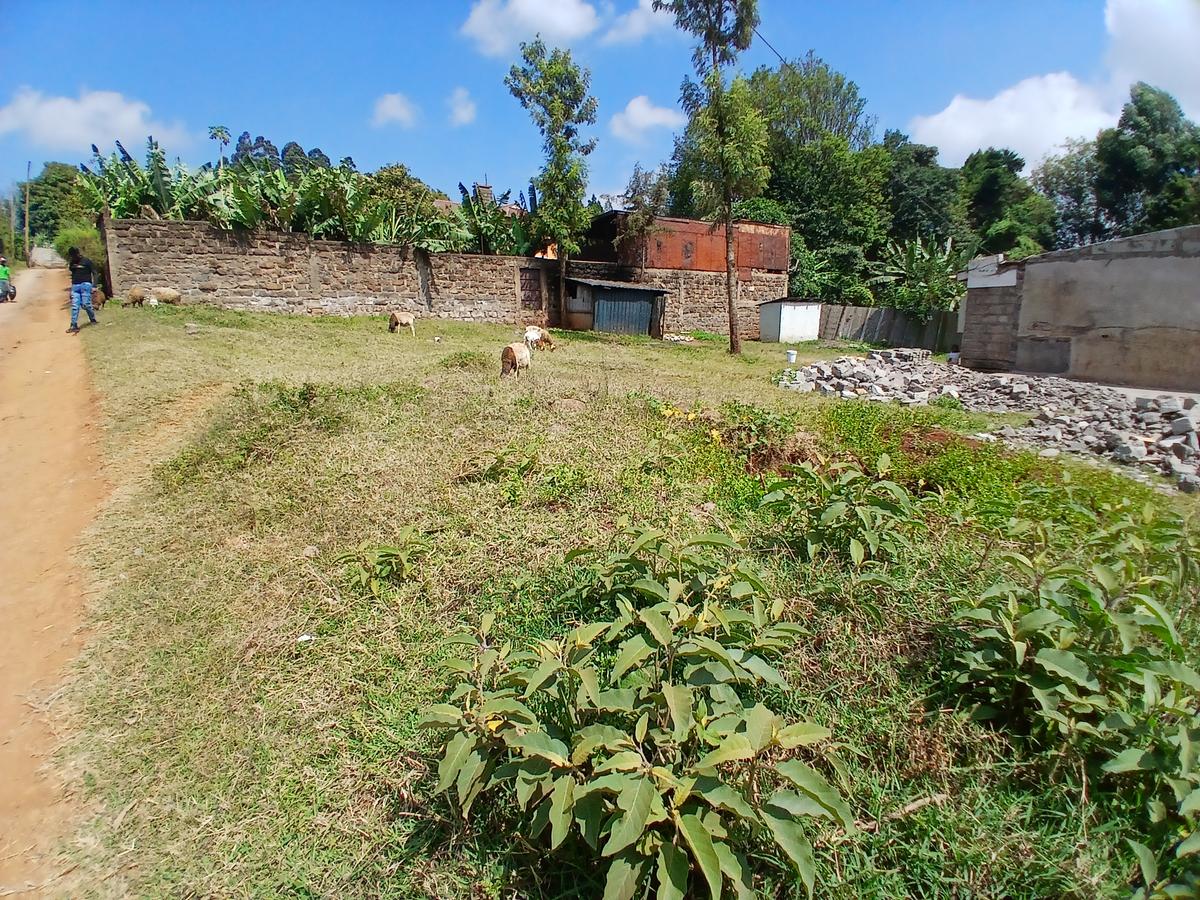 0.10 ha Residential Land at Mai-A-Ihii - 7