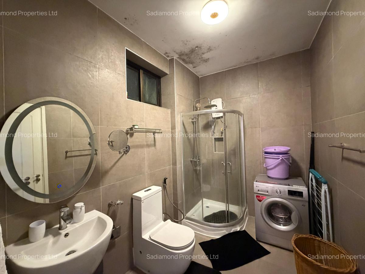 Furnished 2 Bed Apartment with Swimming Pool at Riverside Drive - 7