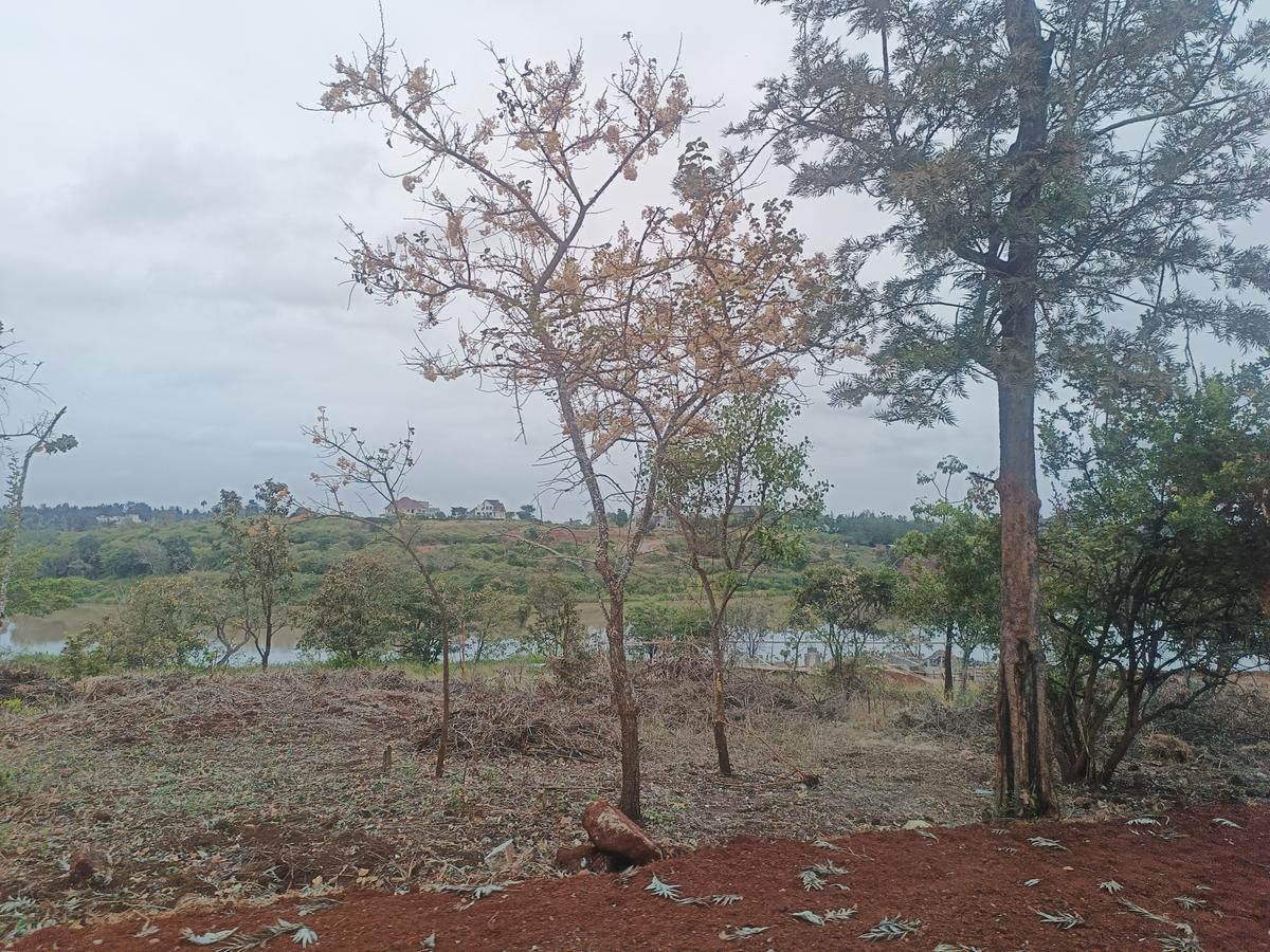 0.25 ac Land at Thika Greens Golf Estate - 17