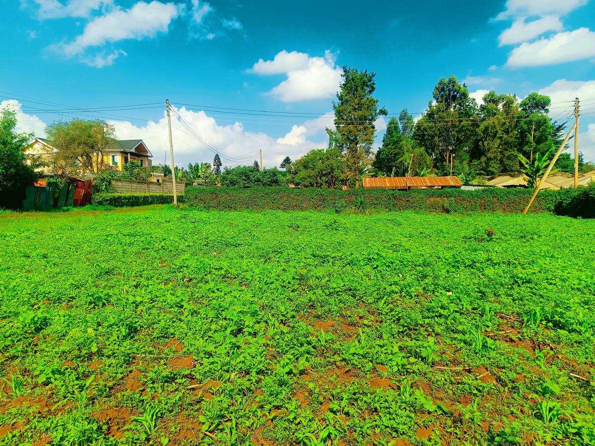 1,000 m² Residential Land at Ondiri - 6