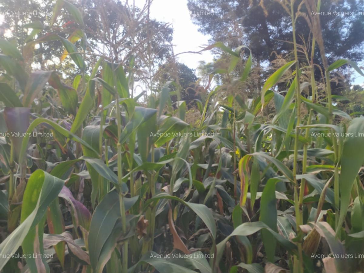 Land at Ruaka Road - 4