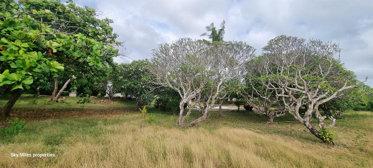 4.4 ac Land at Kuruwitu - 14