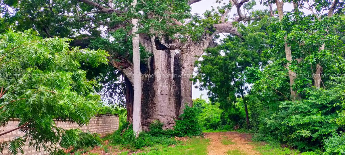 Land in Vipingo - 19