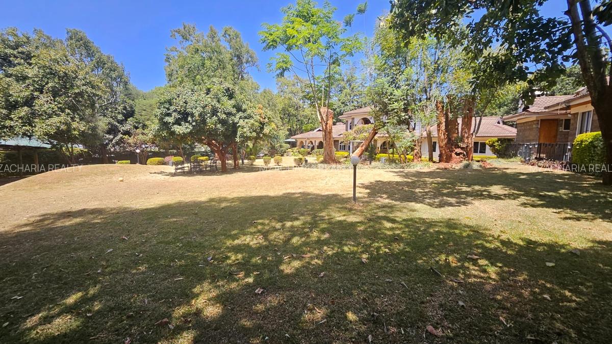 1 ac Commercial Property with Backup Generator in Lavington - 6