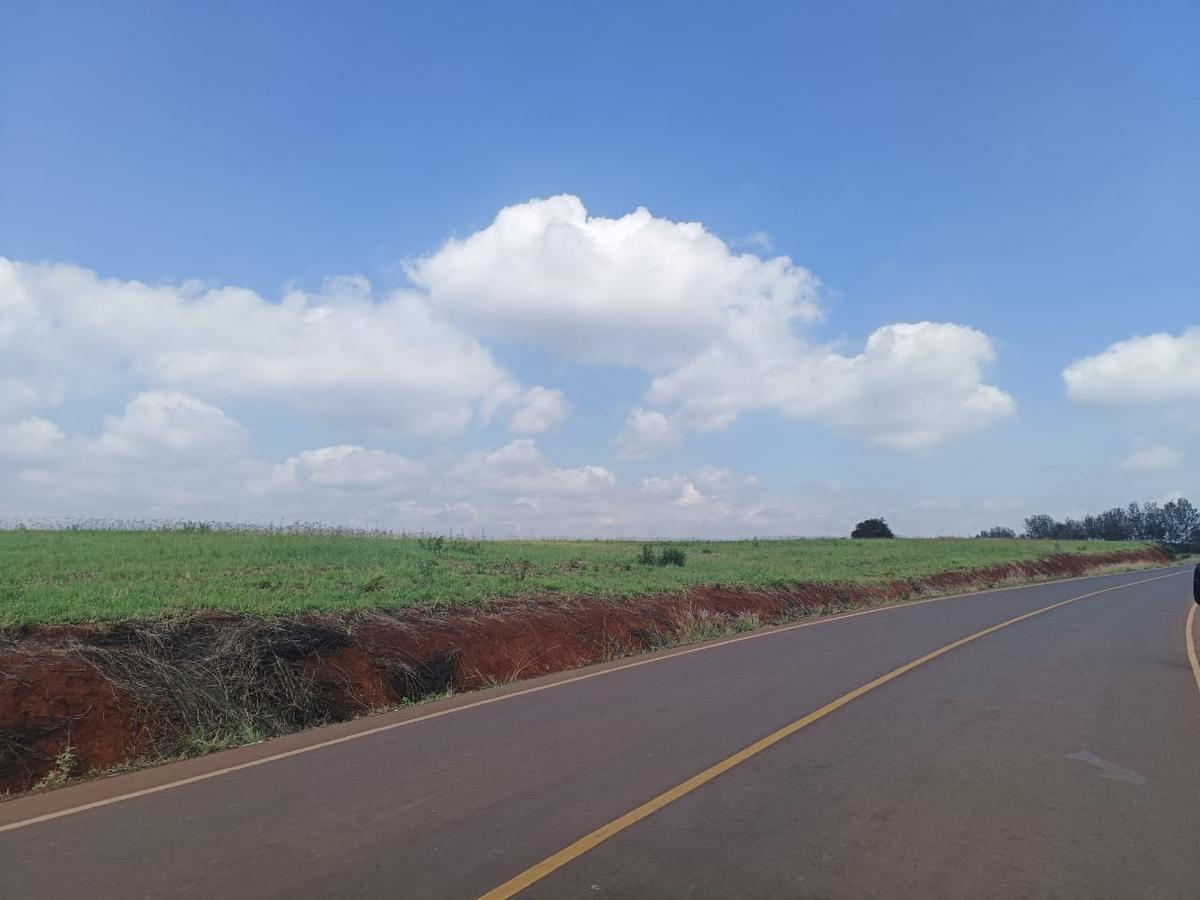 5 ac Land at Near Tatu City - 7