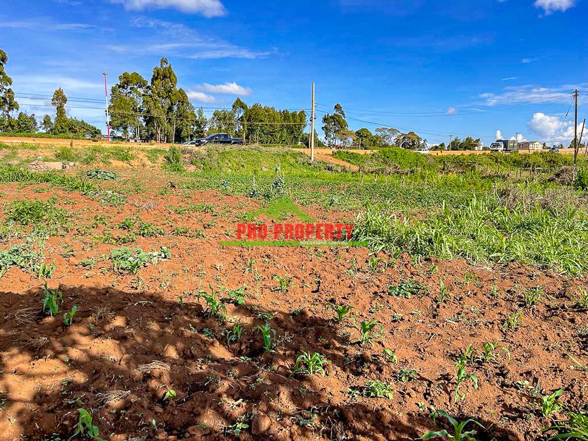 0.1 ha Commercial Land at Muguga - 11