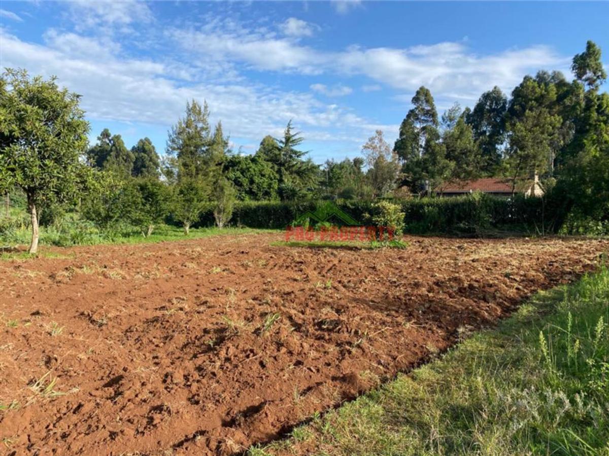 6,000 m² Land in Limuru - 10