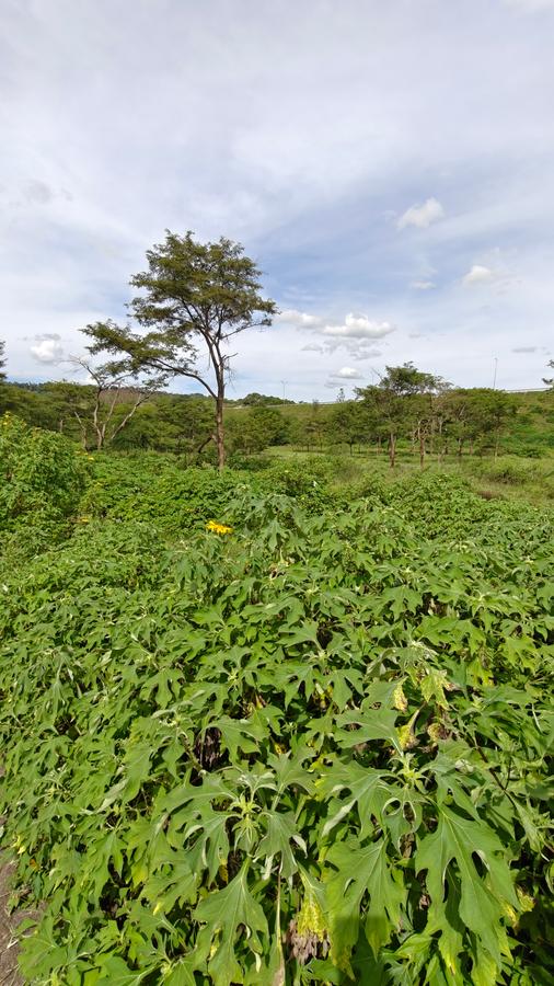 5.65 ac Land in Juja - 4
