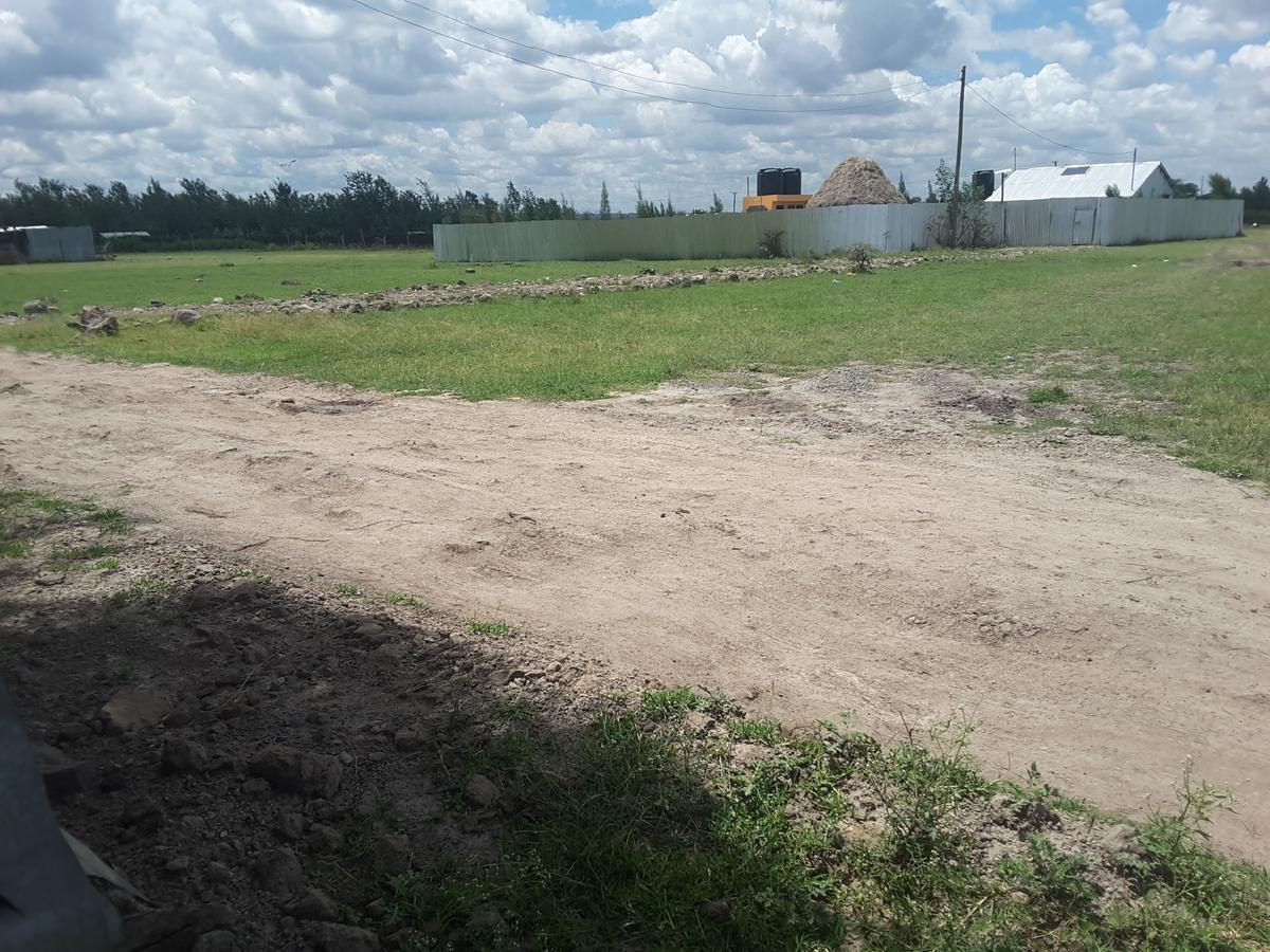 0.1 ha Residential Land in Ongata Rongai - 4