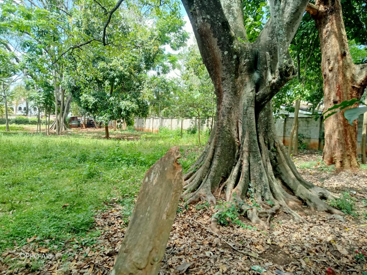 Residential Land in Thigiri - 9