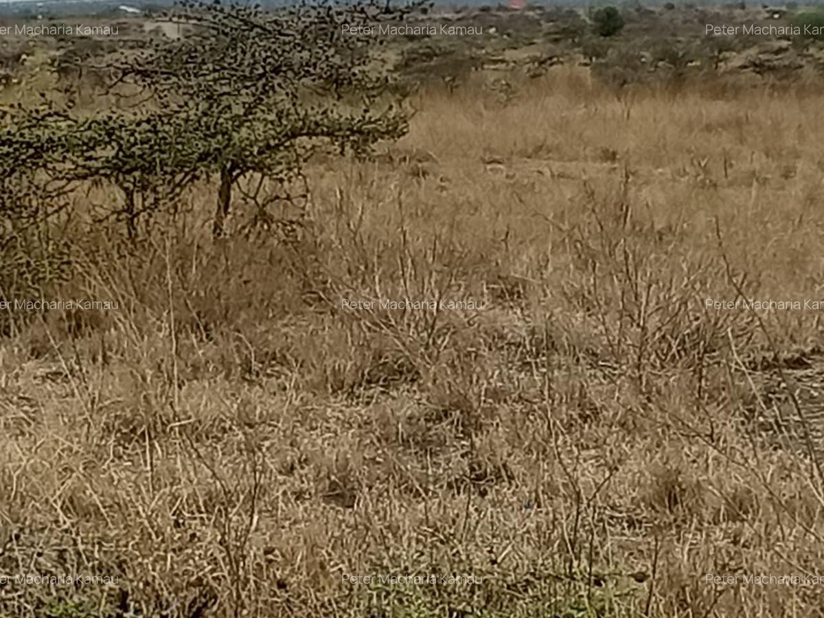 50 ac Land in Konza City - 8