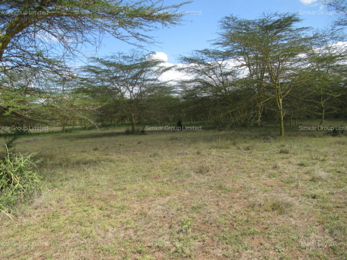 Land at Kitengela - 15