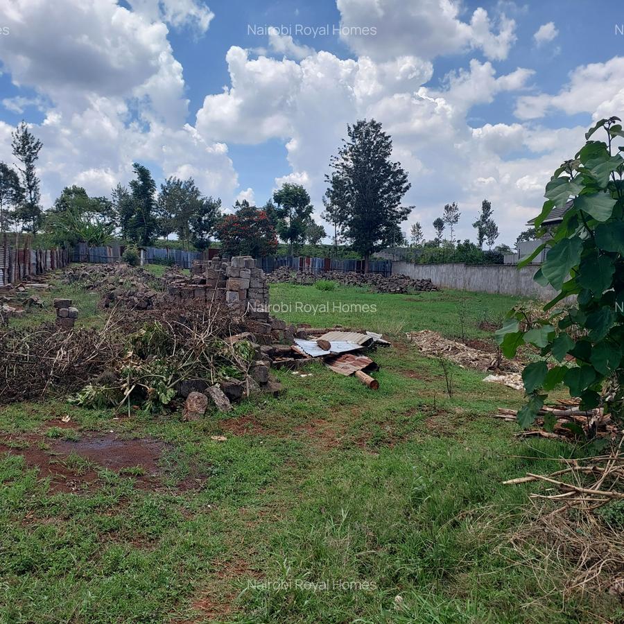 Residential Land at Flem Tree Off Ruaka Road - 13