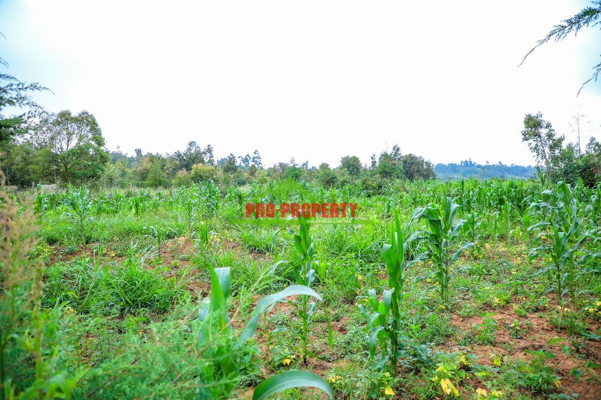 0.1 ha Residential Land at Kamangu - 2