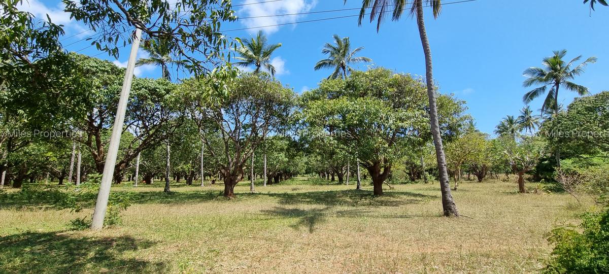 6 ac Land at Mtwapa - 10