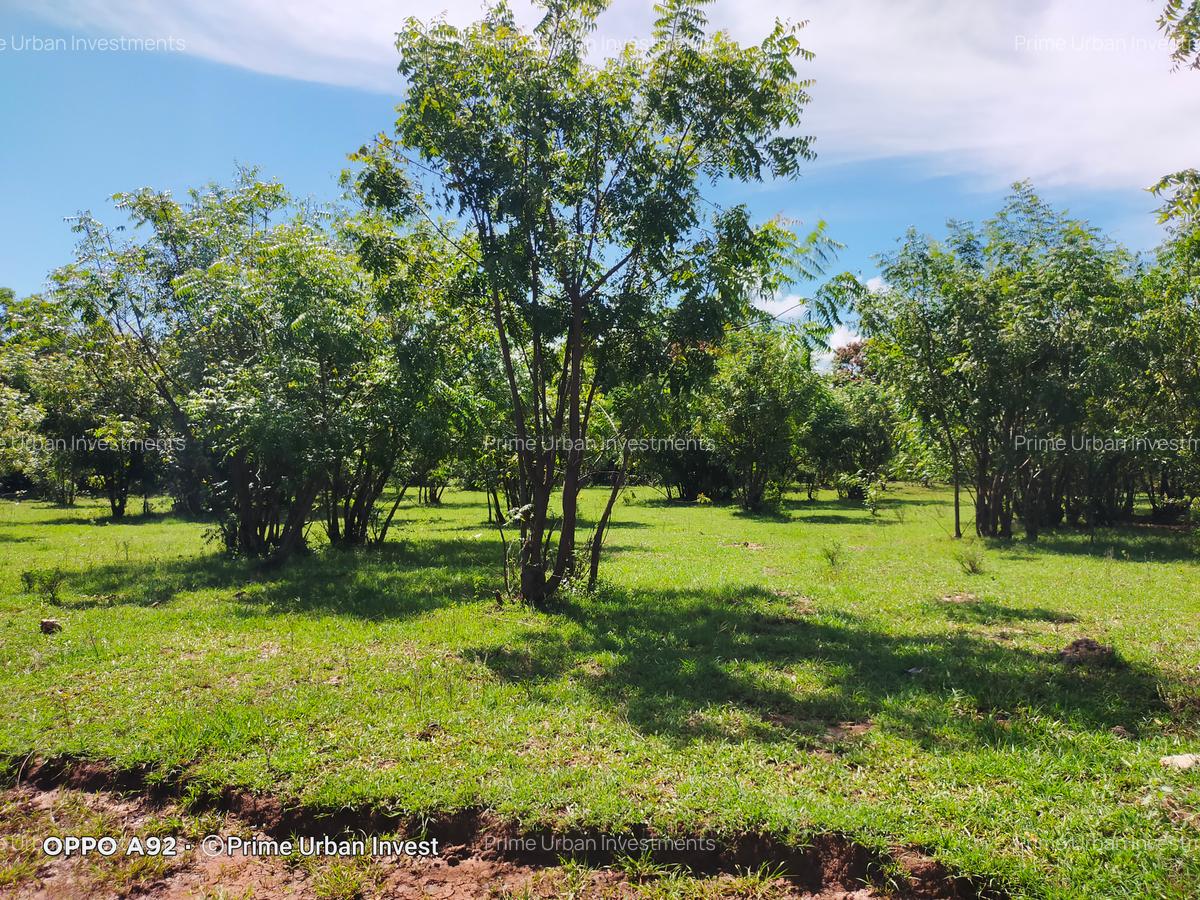 Land in Vipingo - 9