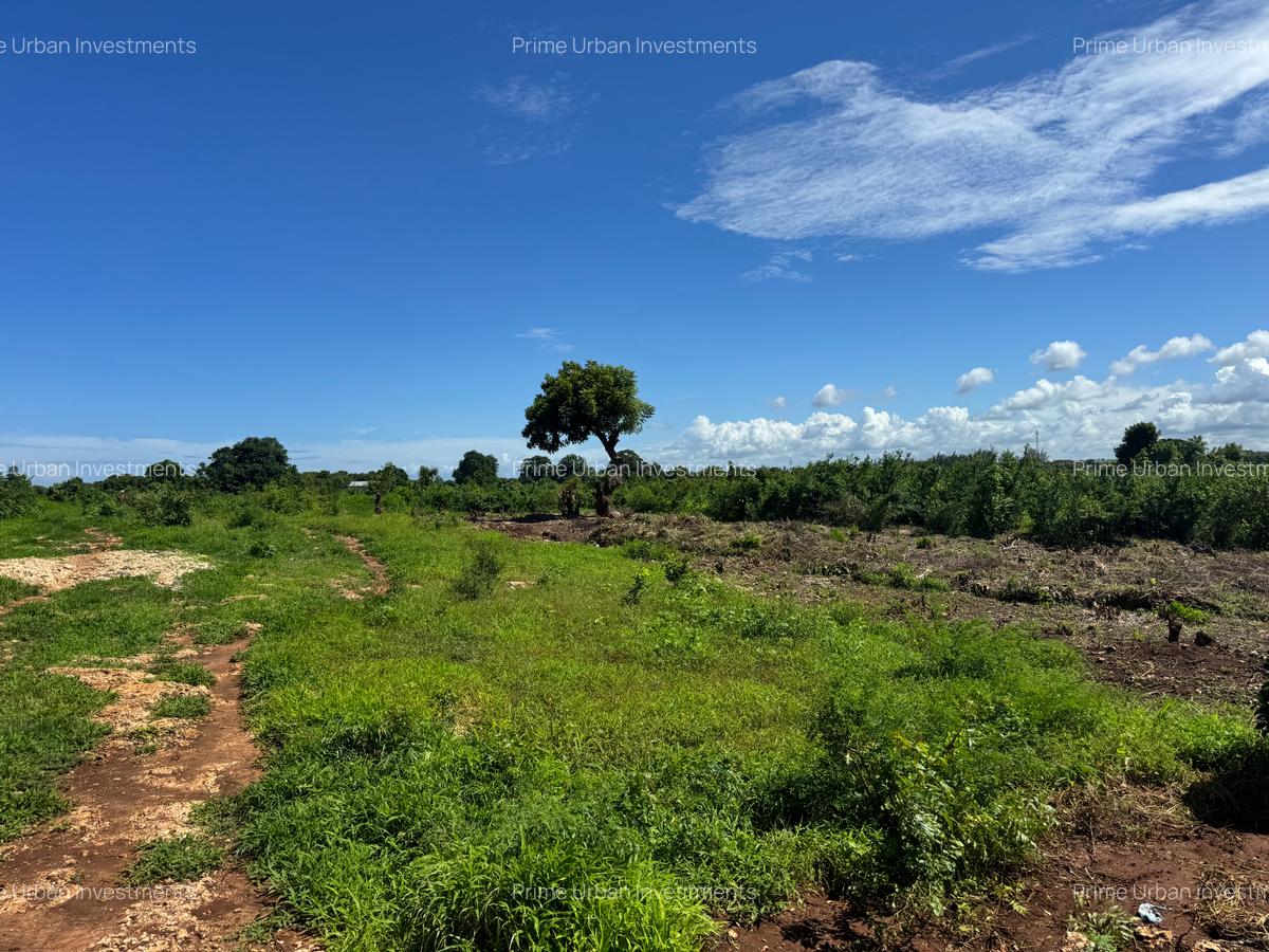 Land in Vipingo - 2