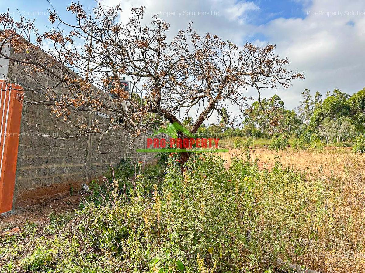 0.05 ha Residential Land at Rose Gate - 8