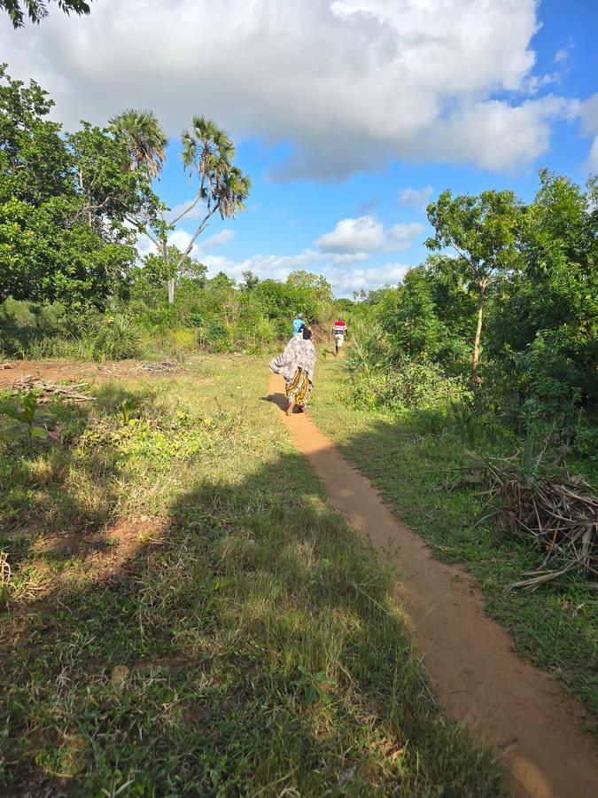 0.05 ha Land at Amani Tiwi Beach Estate - 17