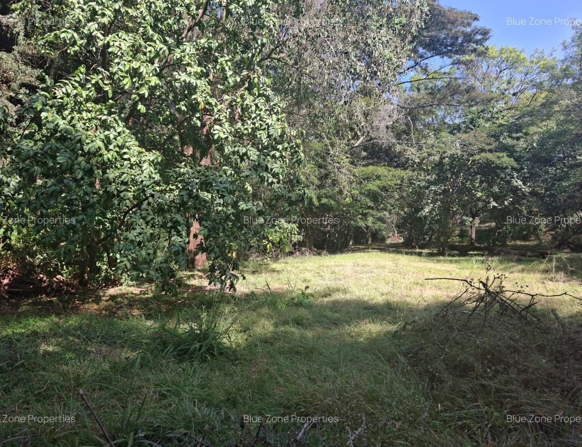 0.75 ac Residential Land at Off Naivasha Avenue - 4
