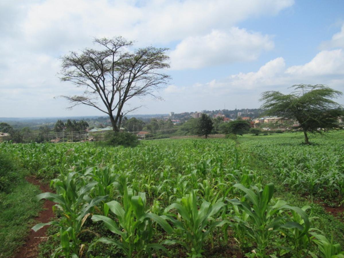 Land at Ngong Town - 5