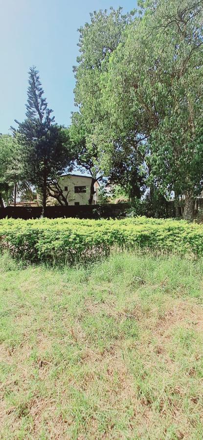 Residential Land in Nyali Area - 4