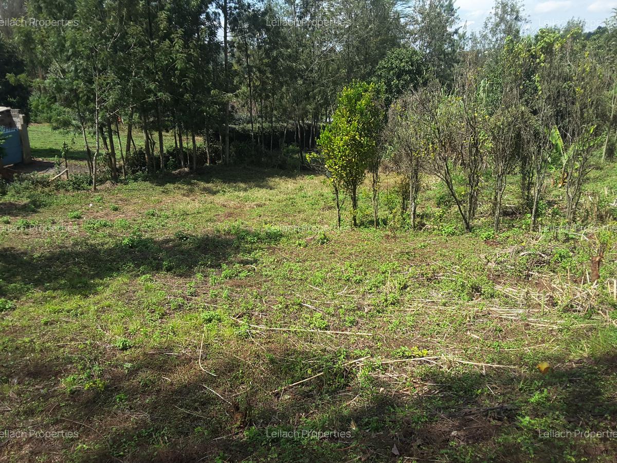 0.25 ac Residential Land in Ngong - 18