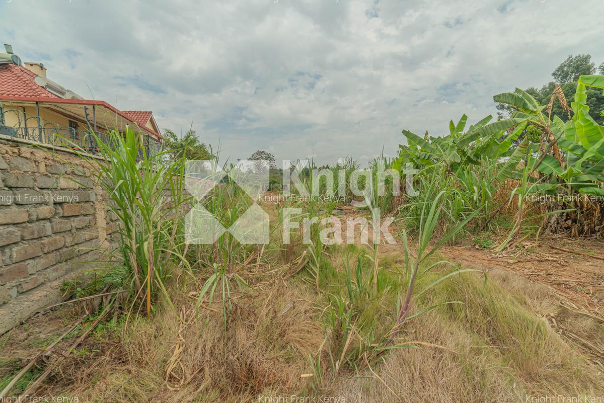 0.5 ac Residential Land at Runda Evergreen - 4