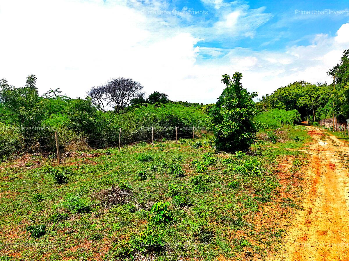 8,093.71 m² Land at Kilifi Bofa - 11