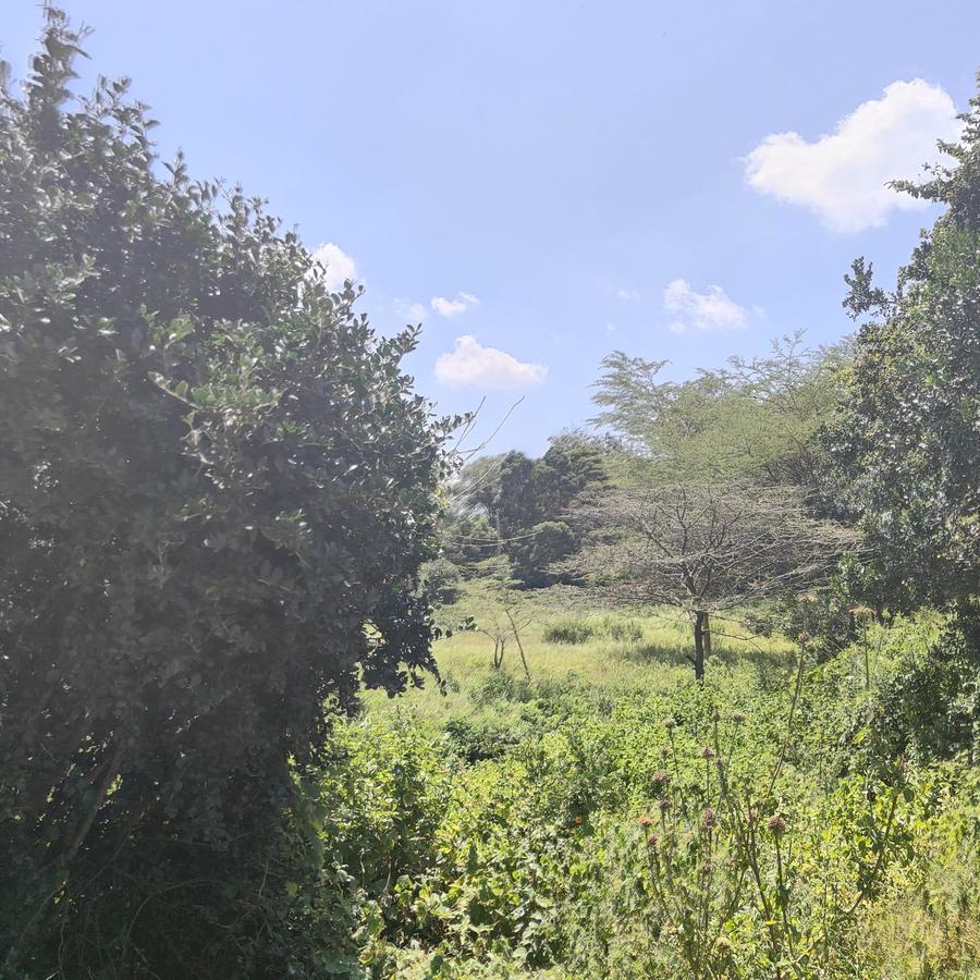 1 ac Land at Ndovu Road - 18