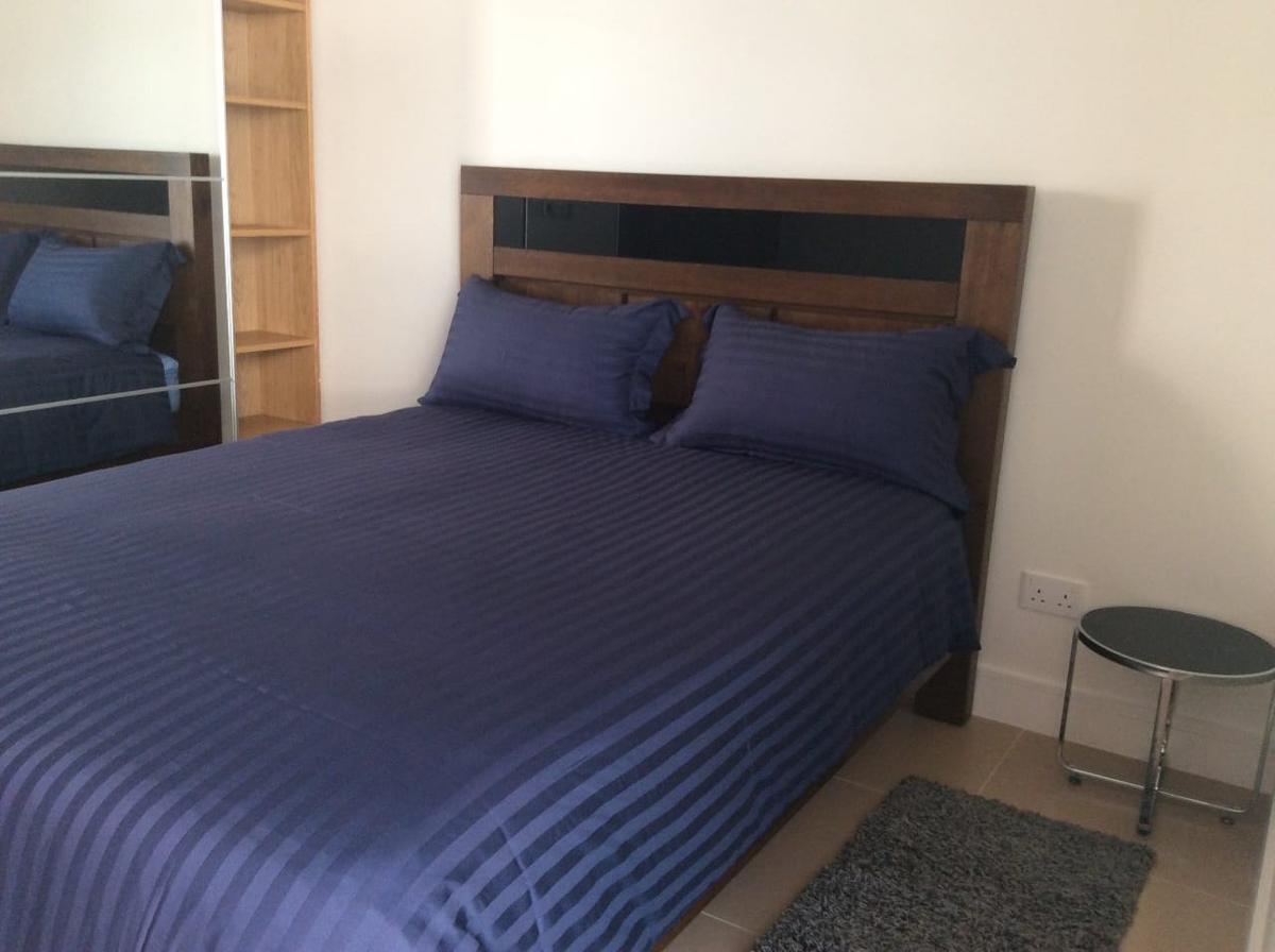 Serviced 3 Bed Apartment with En Suite at Cement Road - 8