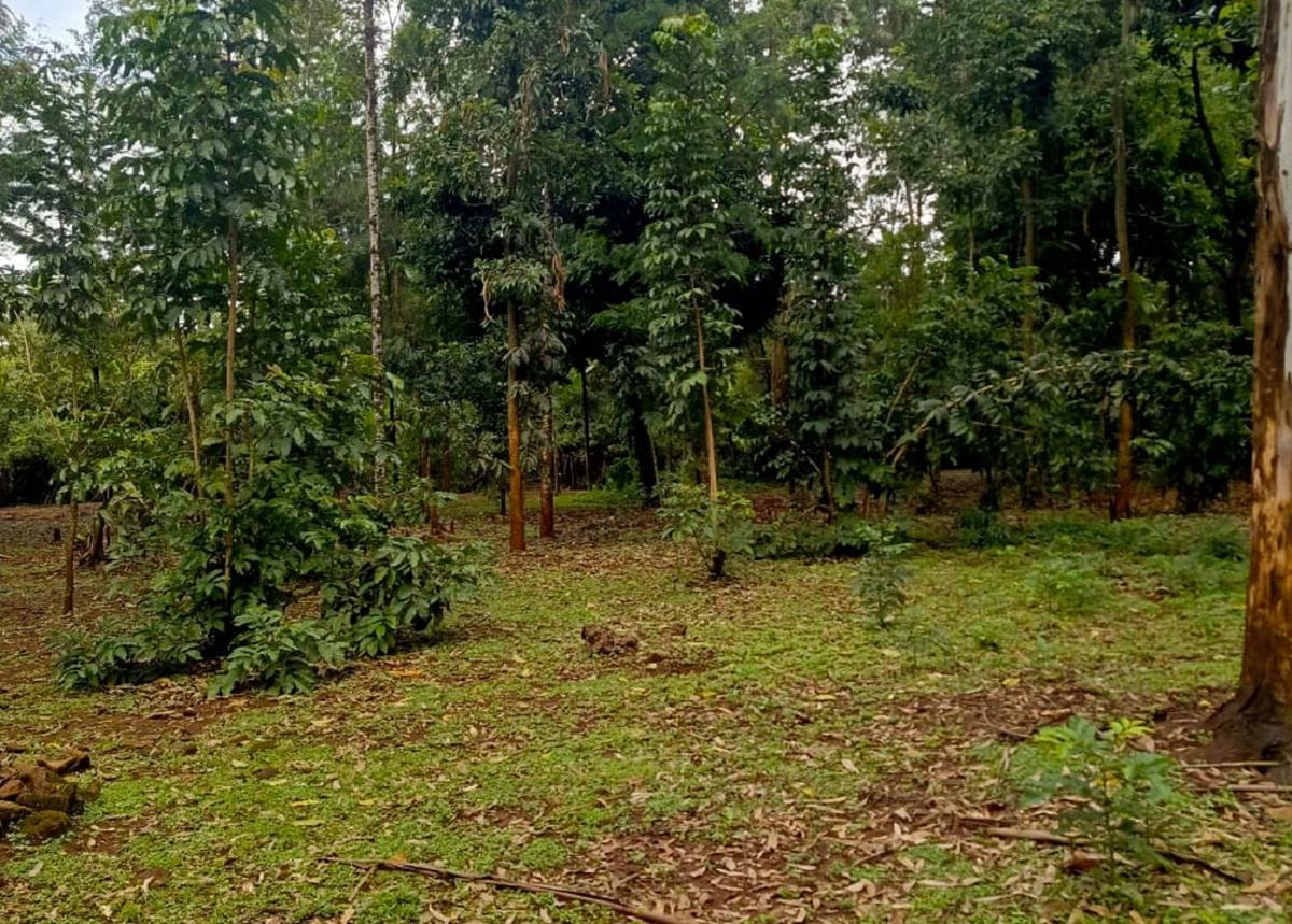 0.5 ac Residential Land at Three Dee Lane - 1