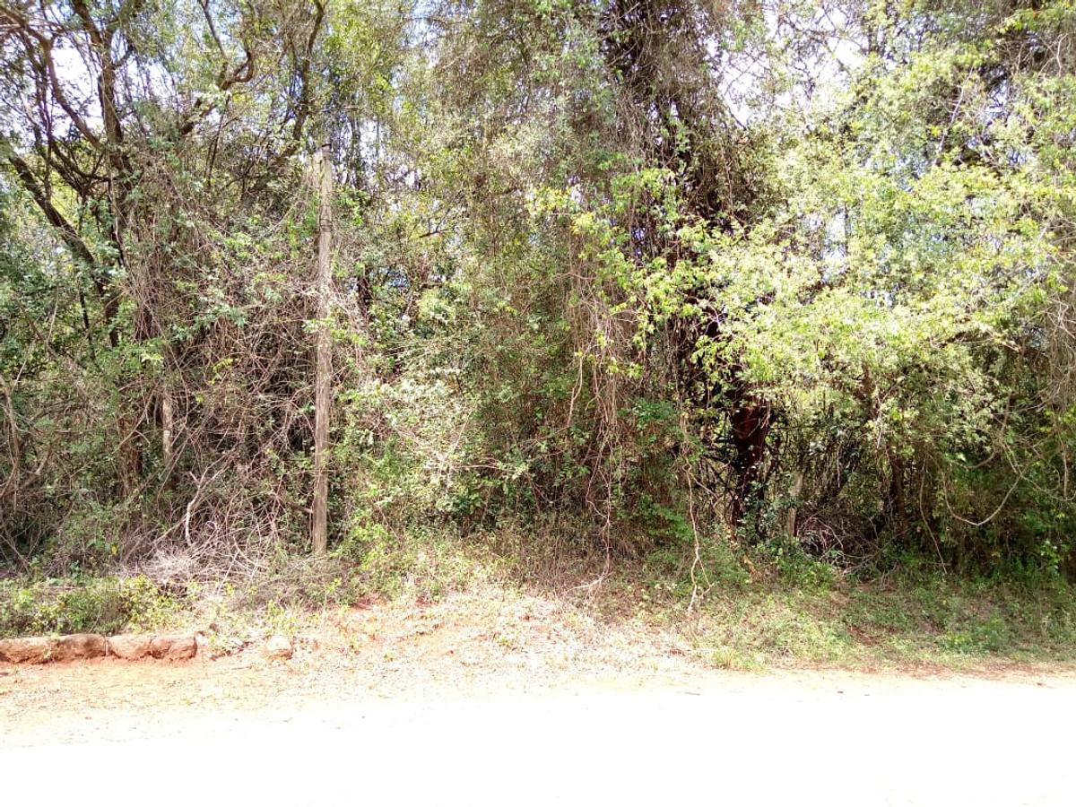 1 ac Land in Karen - 8