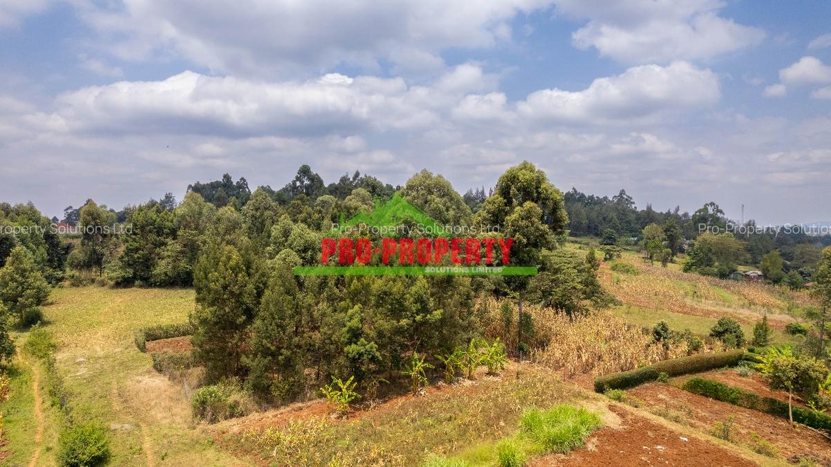 0.05 ha Residential Land in Kikuyu Town - 5