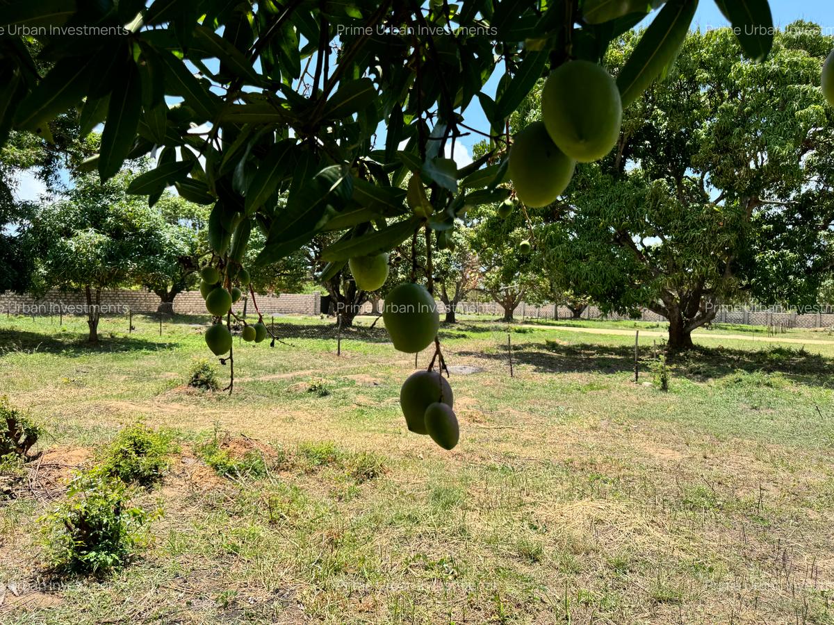 505.86 m² Land in Kikambala - 4