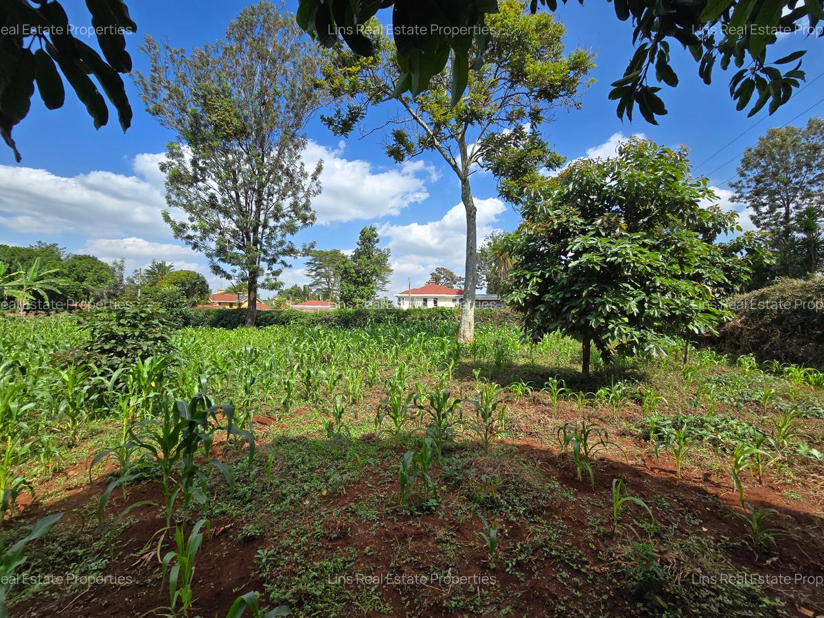 Residential Land in Runda - 11